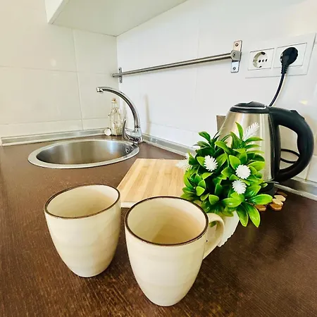 Apartamento Centro Nogalera